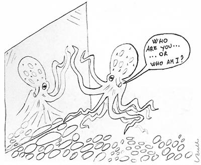 Cephalopods Between Science, Art, and Engineering: A Contemporary Synthesis